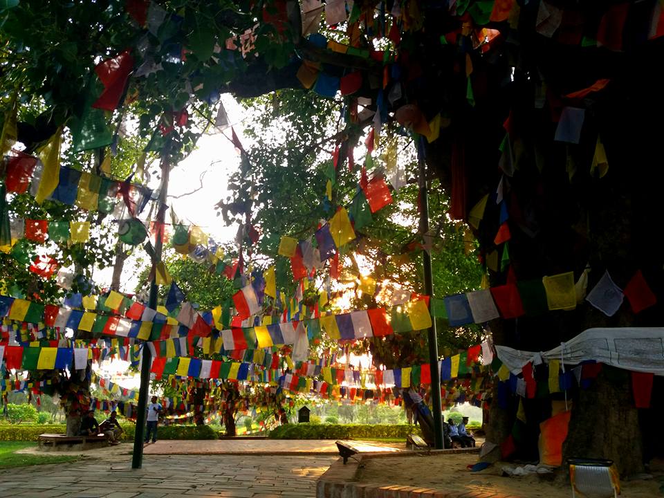 10-day-vipassana-meditation-retreat-nepal-birthplace-buddha